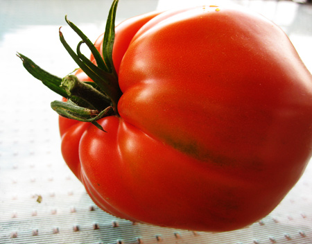 killer-tomato2
