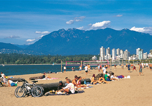 Squeezing the Last Drops Out of Summer – A Cagey Bee